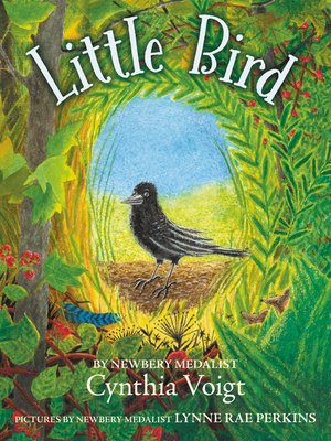 cover image of Little Bird